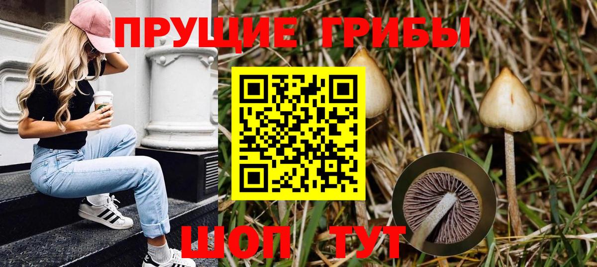 Псилоцибиновые грибы мухоморы  как найти   Вышний Волочёк  Вход с VPN 