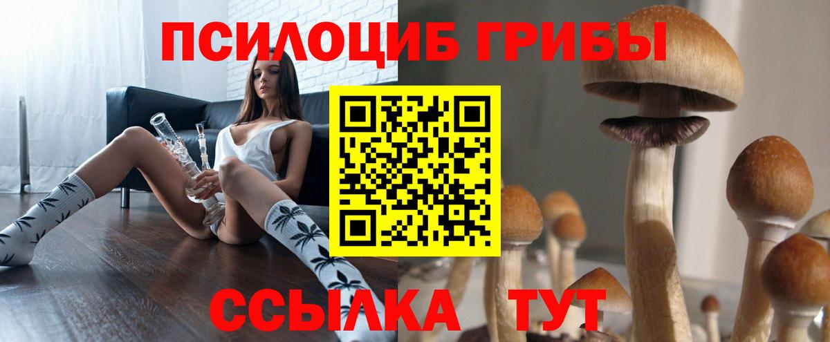 Псилоцибиновые грибы мухоморы Вышний Волочёк